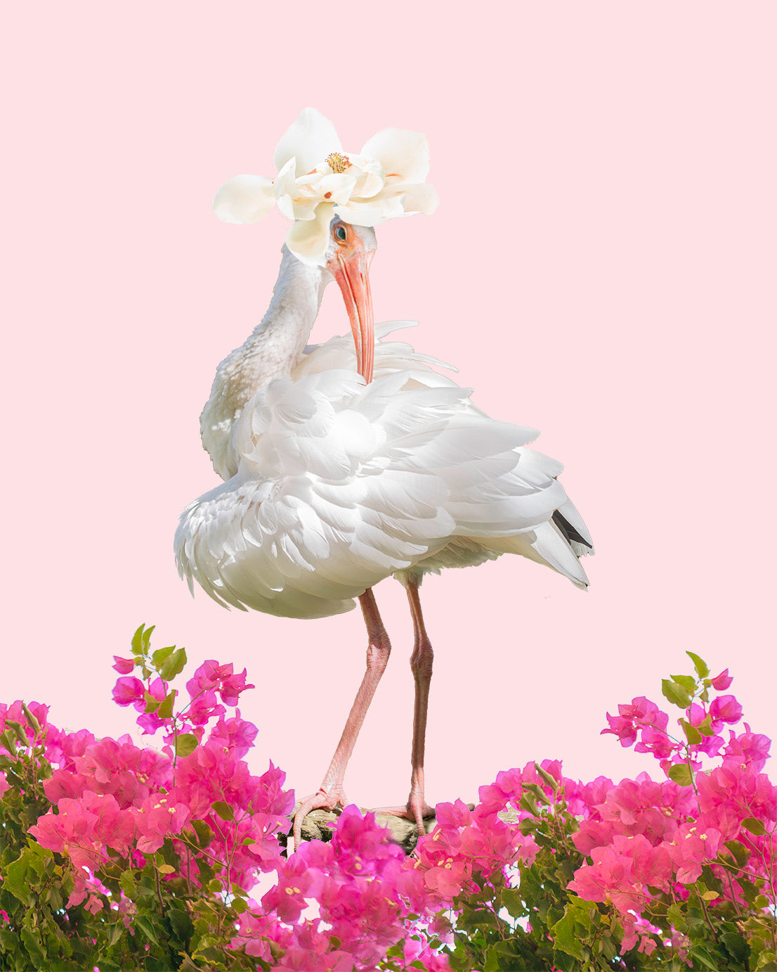 Pink Whimsical Print