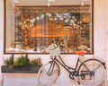 Women's Bicycle Flower Print