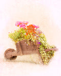 Wooden Wheel Barrel with Flowers Print